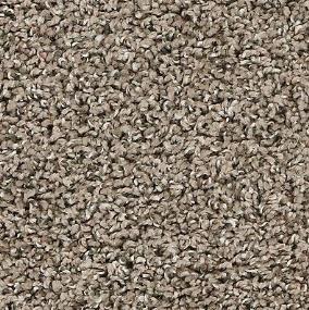 Texture Gondola Brown Carpet