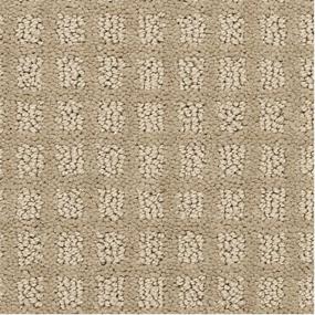 Pattern Atrium Beige/Tan Carpet