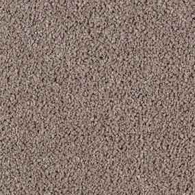 Textured Saxony Swiss Coffee Brown Carpet