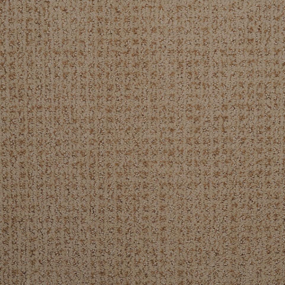 Pattern Avenue Beige/Tan Carpet