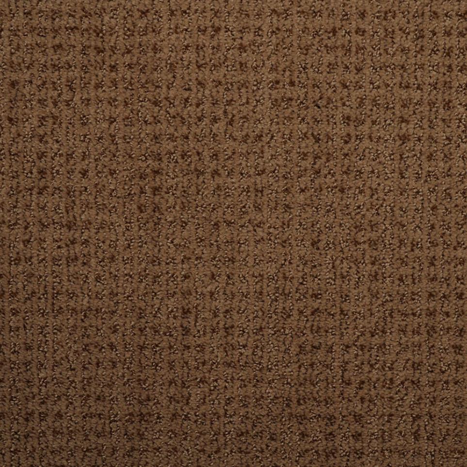 Pattern Dormer Brown Carpet