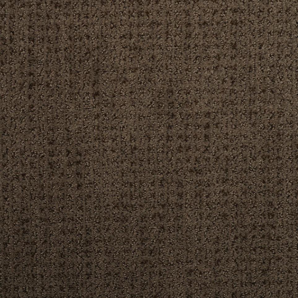 Pattern Brindle Brown Carpet
