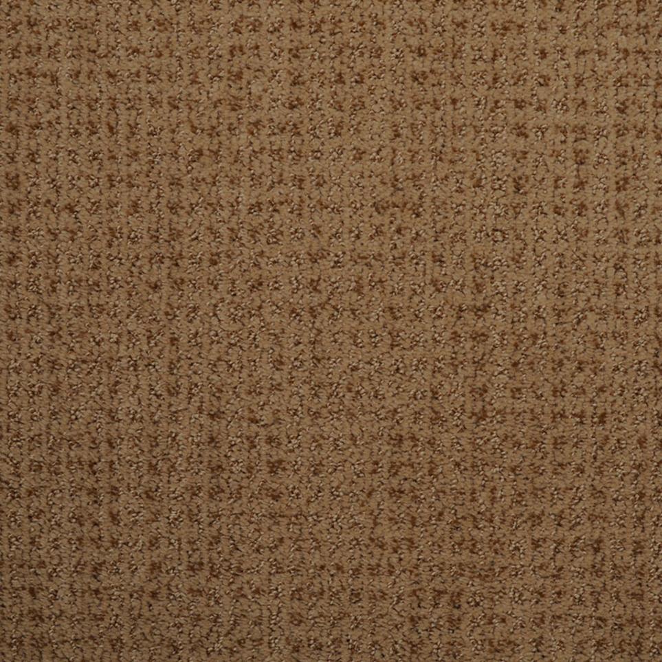 Pattern Impressive Beige/Tan Carpet