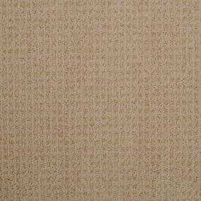 Pattern  Beige/Tan Carpet