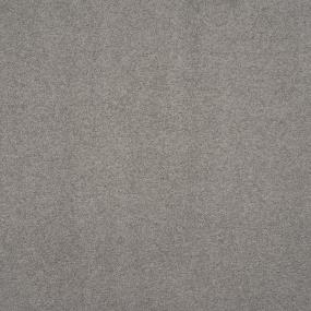 Casual Texture Smoke Gray Carpet
