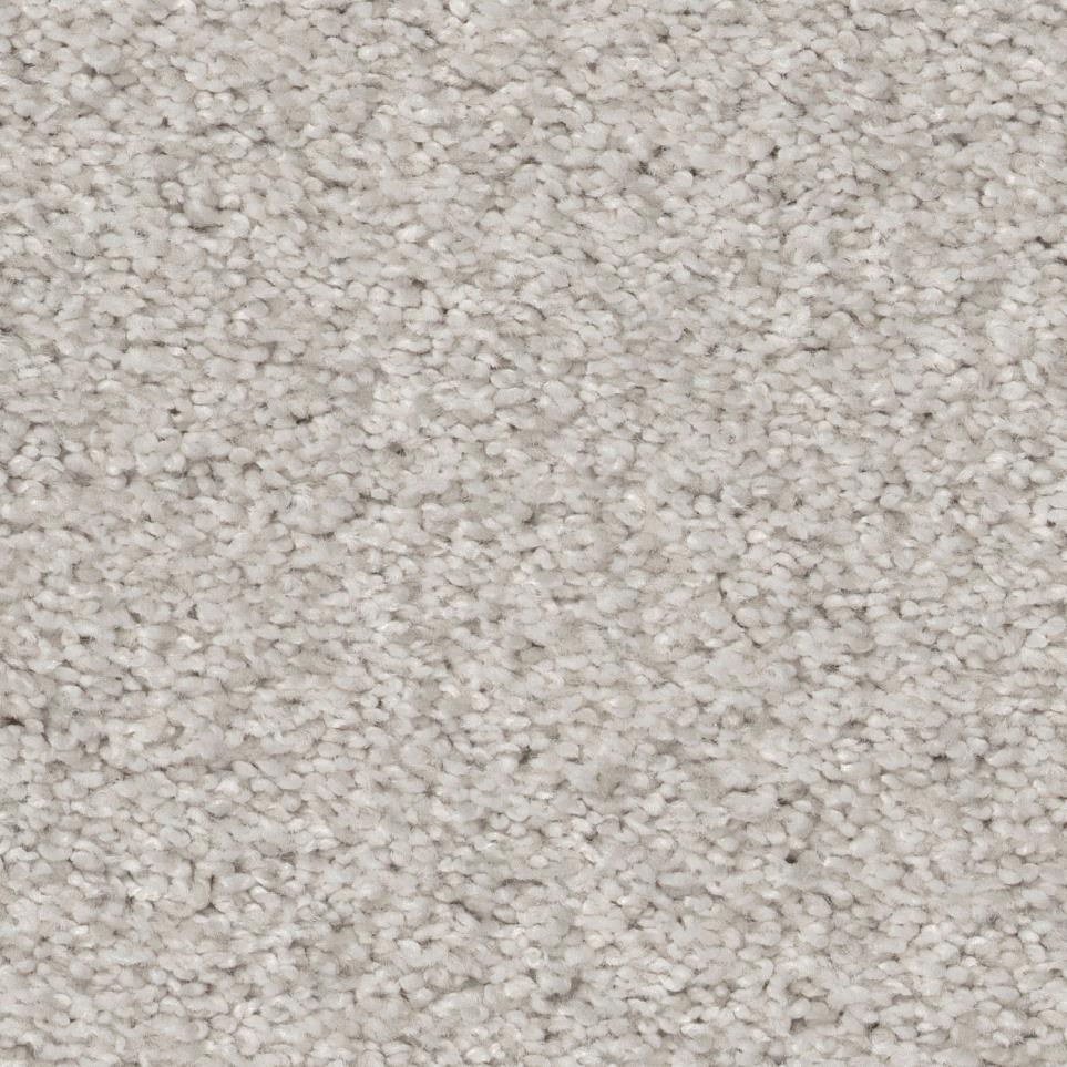 Frieze Canvas Gray Carpet