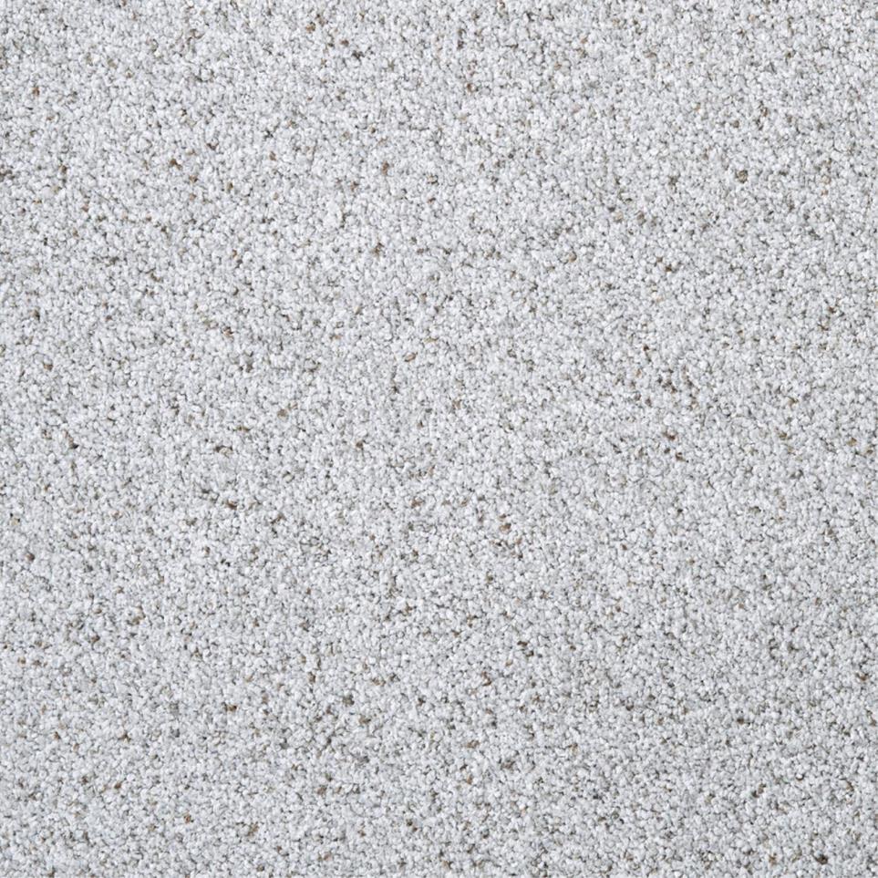 Textured Saxony Posh Gray Carpet