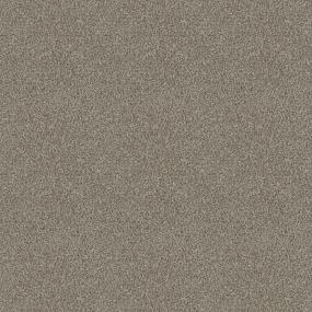 Textured Saxony Echo Brown Carpet