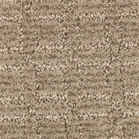 Pattern Light Driftwood Beige/Tan Carpet