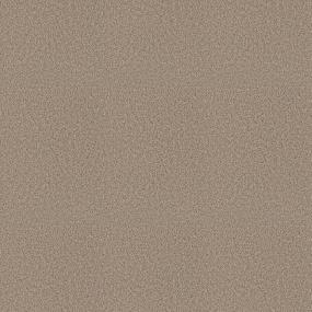 Textured Saxony Safari Beige/Tan Carpet