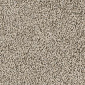 Textured Saxony Safari Beige/Tan Carpet