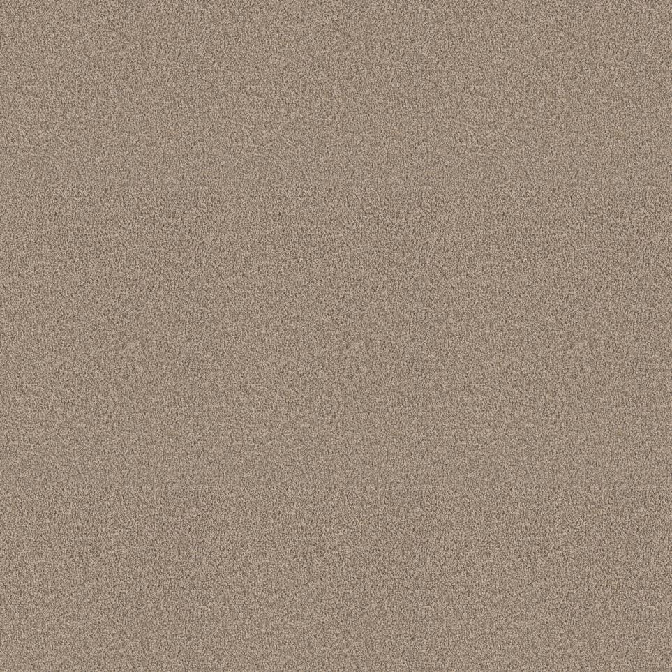 Textured Saxony Safari Beige/Tan Carpet