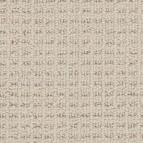 Loop Illuminating Beige/Tan Carpet