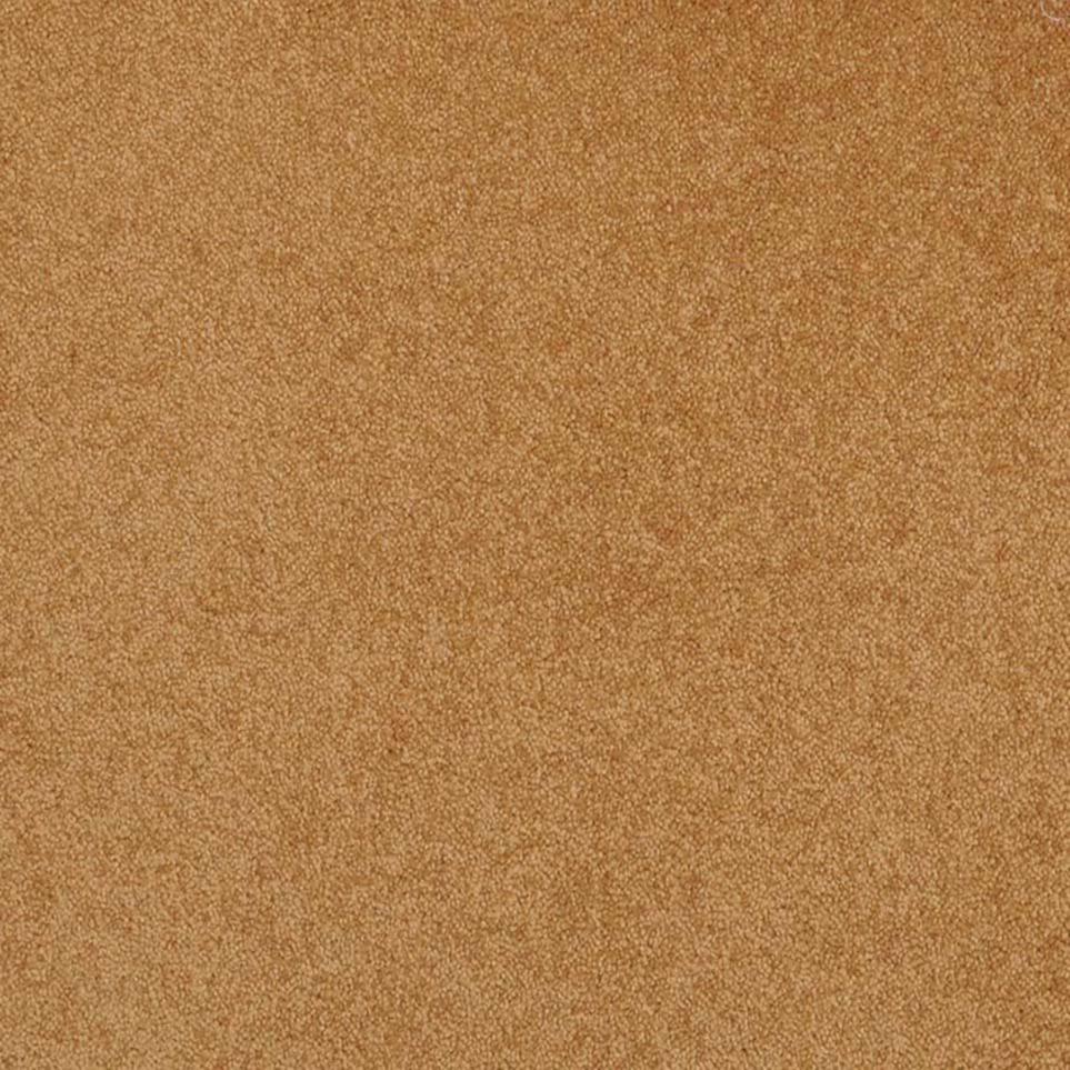 Plush Saxony Adobe Beige/Tan Carpet