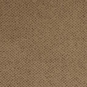 Pattern Timber Brown Carpet