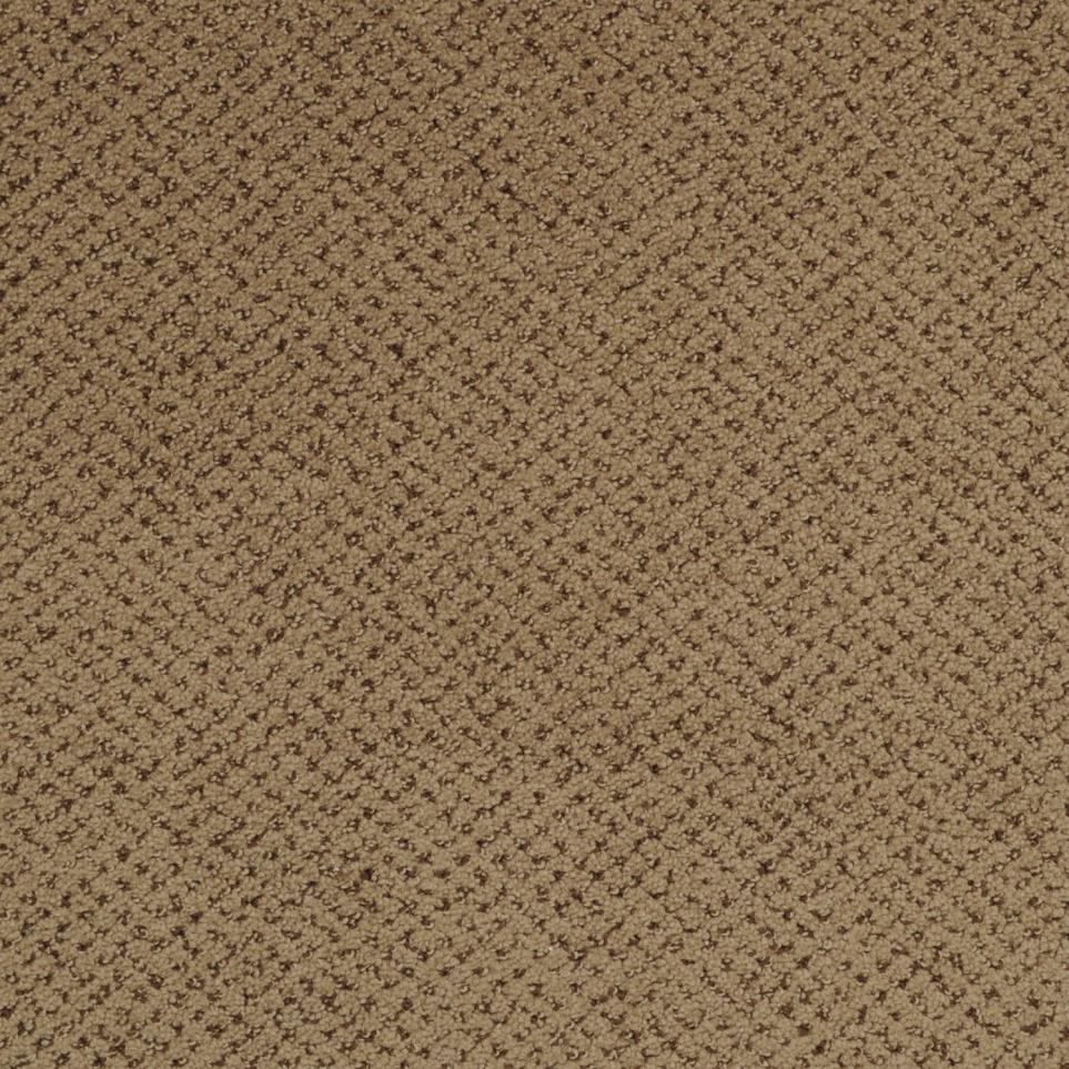 Pattern Timber Brown Carpet