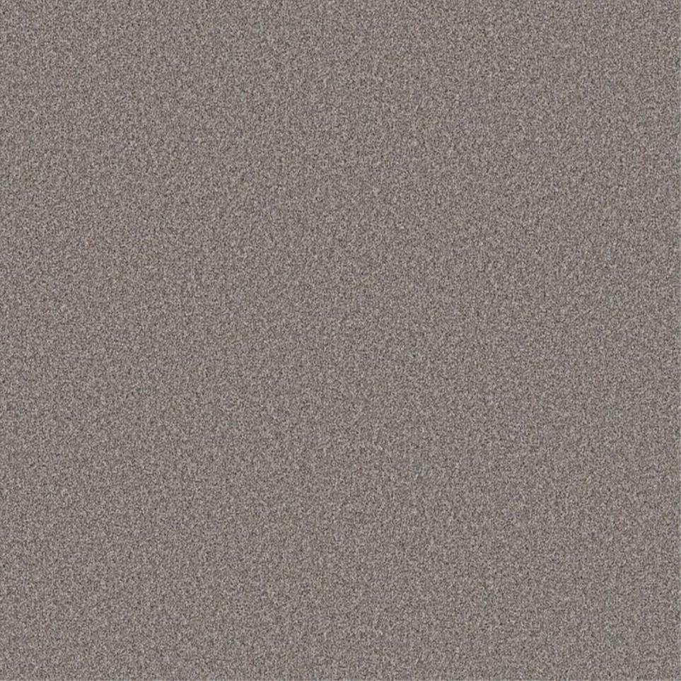 Texture Pebble Gray Carpet