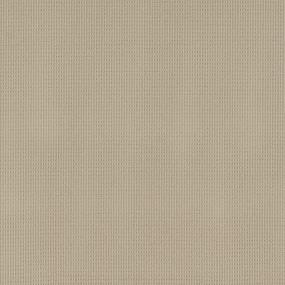 Loop Seagrass Beige/Tan Carpet