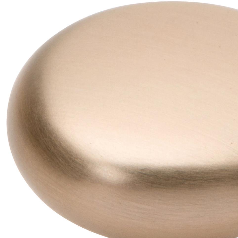 Knob Champagne Brass / Gold Knobs