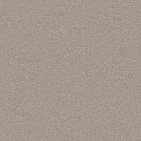 Casual Texture Mesa Beige/Tan Carpet