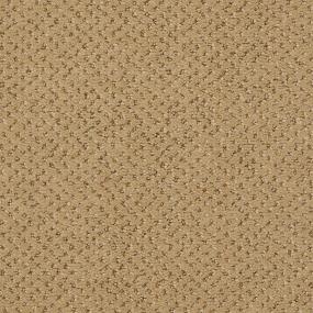 Pattern Fresh Bread Beige/Tan Carpet