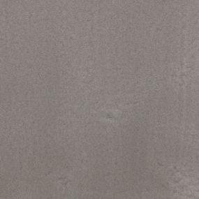 Textured Saxony Silhouettes Brown Carpet