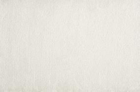 Plush Saxony Ice White Carpet