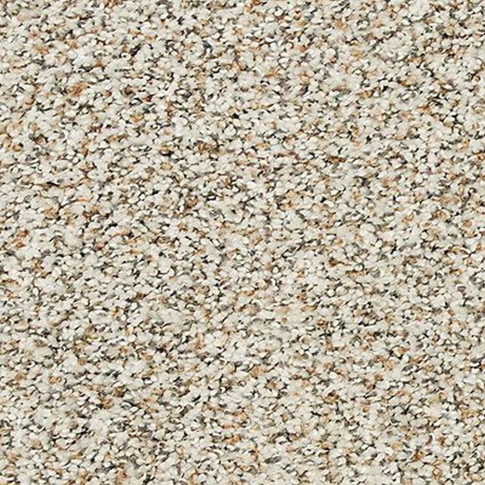 Textured Saxony Ancient Marble Gray Carpet