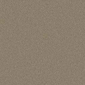 Textured Saxony Worthy Beige/Tan Carpet