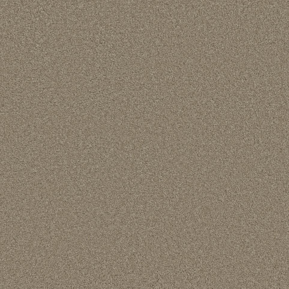 Texture Worthy Beige/Tan Carpet