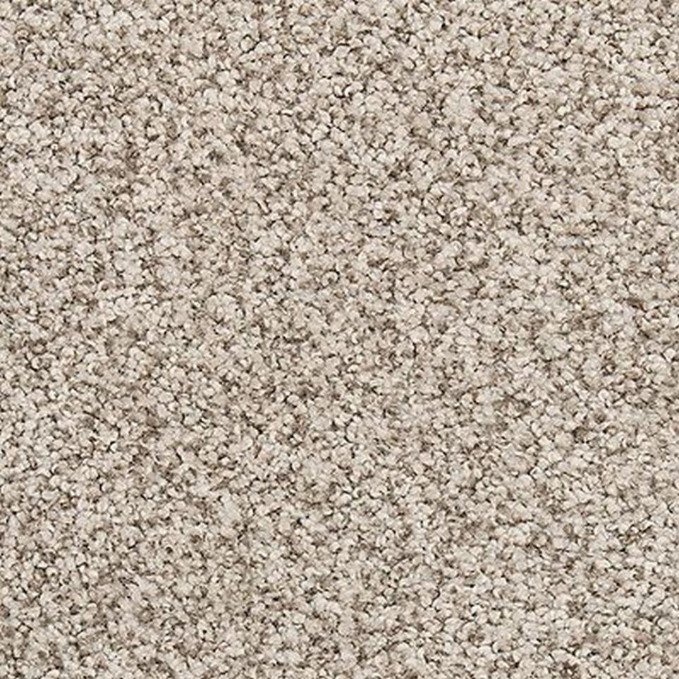 Textured Saxony Spanish Grey Gray Carpet
