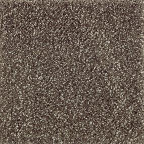 Textured Saxony Cobble Path Brown Carpet