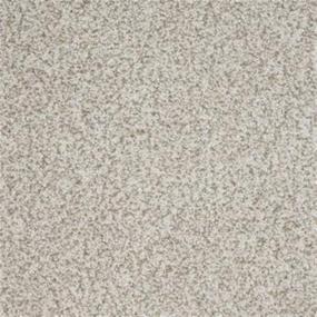 Textured Saxony Spanish Moss Beige/Tan Carpet