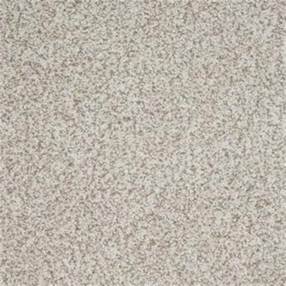 Textured Saxony Spanish Moss Beige/Tan Carpet