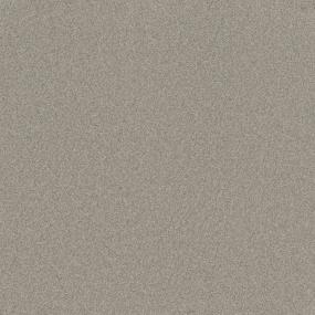 Textured Saxony Belcarra Beige/Tan Carpet