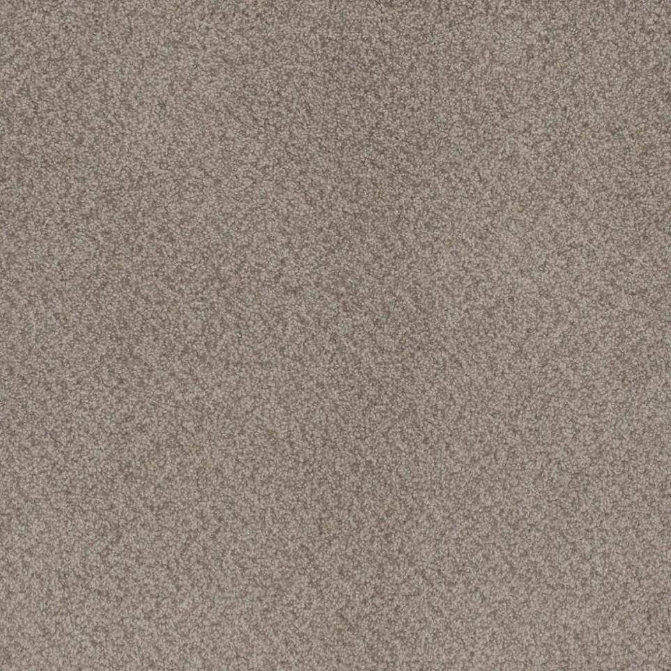 Cut Pile Monarch Beige/Tan Carpet