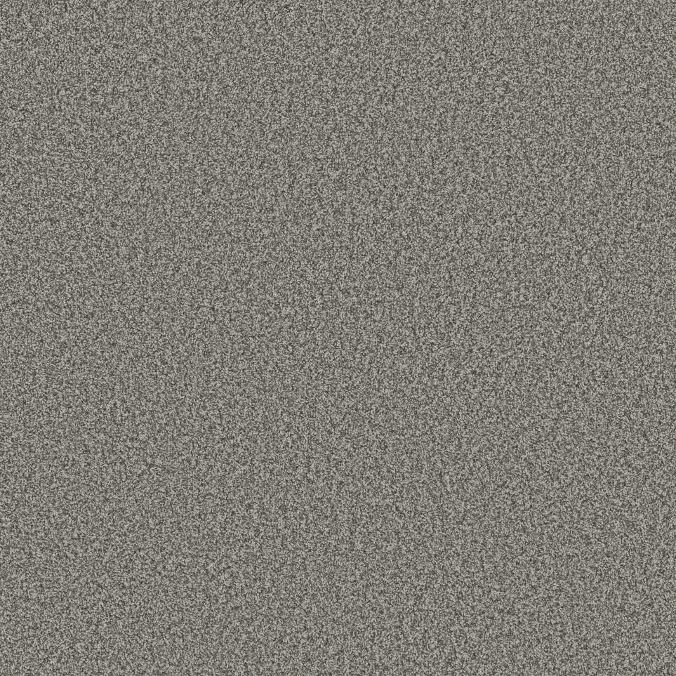Textured Saxony Still Grey Gray Carpet