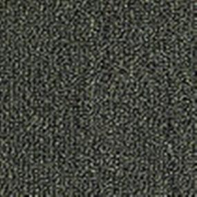Pattern Verdigris Green Carpet