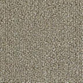 Pattern Burlap Beige/Tan Carpet