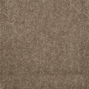 Textured Saxony Walkway Brown Carpet
