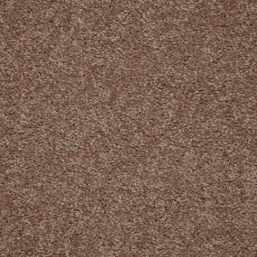 Textured Saxony Walkway Brown Carpet