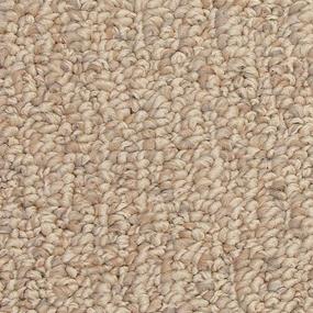 Pattern Tradition Beige/Tan Carpet
