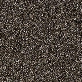 Textured Saxony Wrought Iron Gray Carpet
