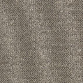 Pattern Aboveboard Brown Carpet
