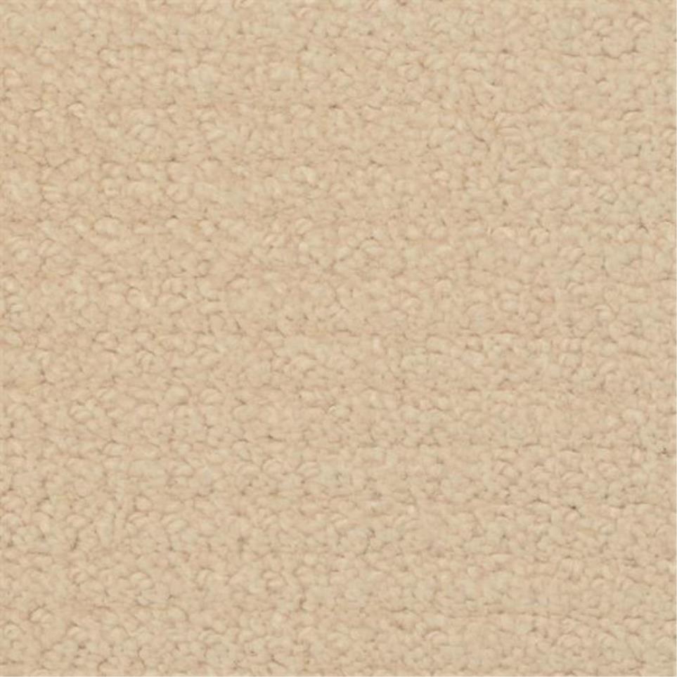 Pattern Brush Canvas Beige/Tan Carpet