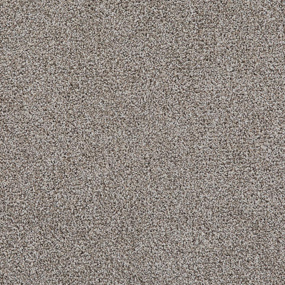 Cut Pile TIRAMISU Gray Carpet