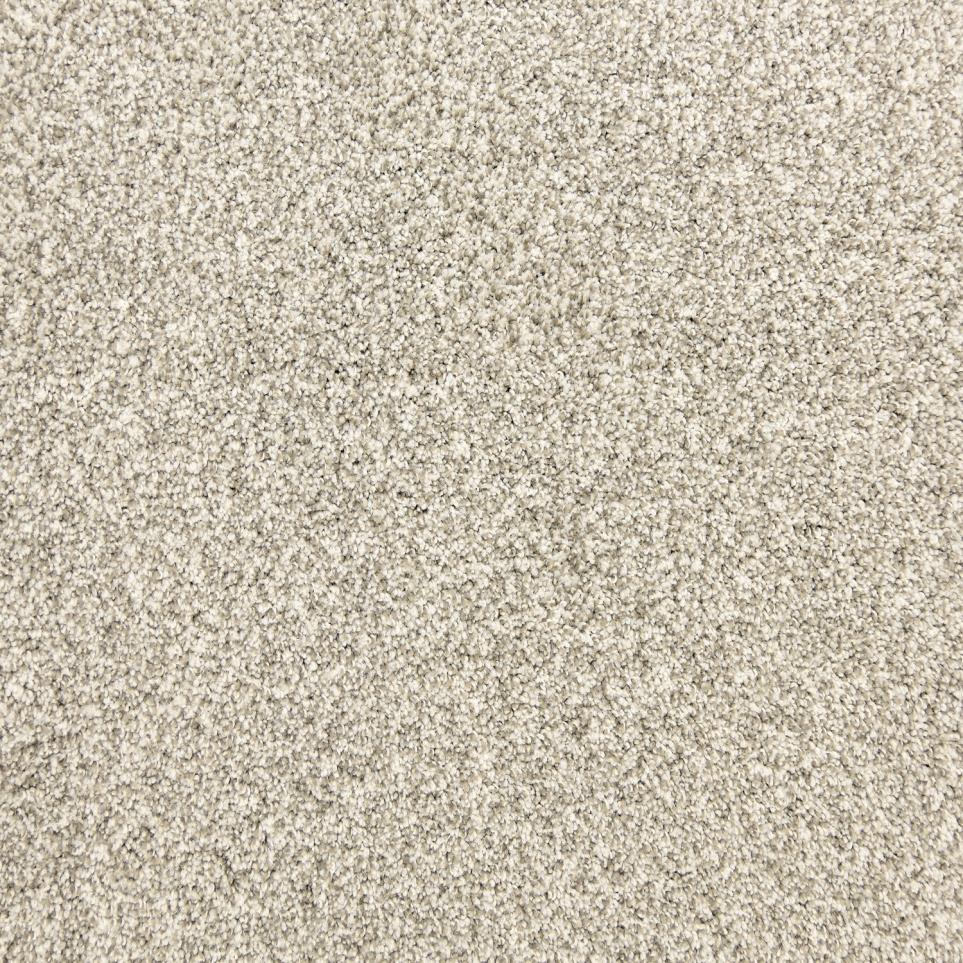 Texture Fog Beige/Tan Carpet