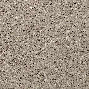 Textured Saxony Sandy Cove Brown Carpet