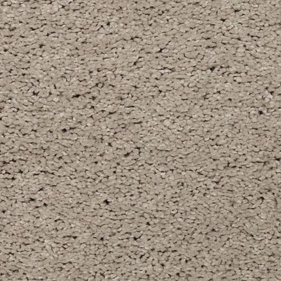 Textured Saxony Sandy Cove Brown Carpet