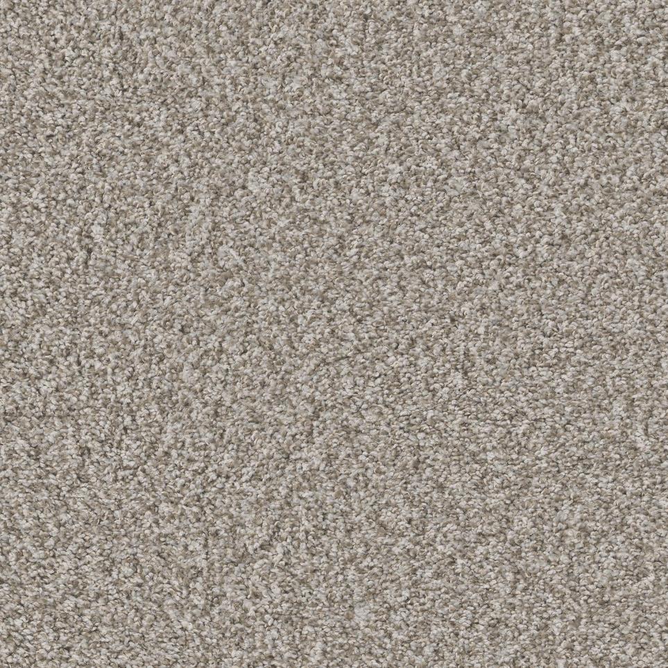 Plush Stucco Beige/Tan Carpet